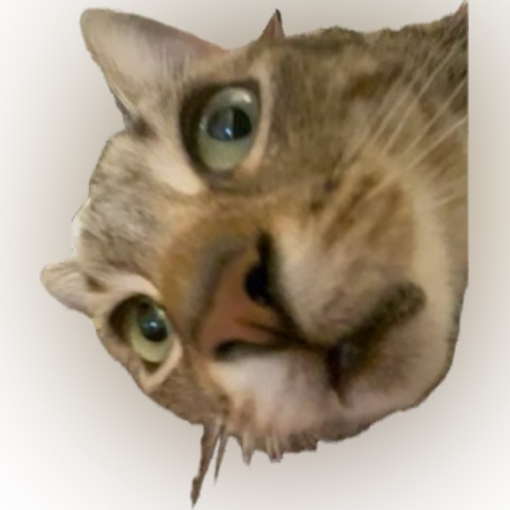 Meet your Posher, Izhduevfj